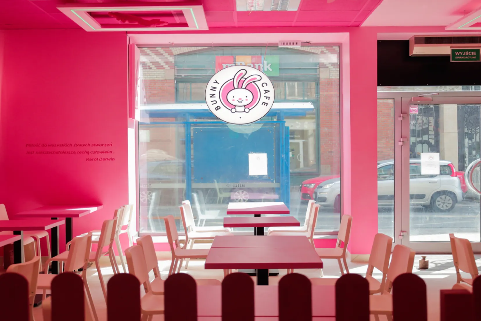 The First Bunny Café in Europe Is a Cosy Spot Attracting Crowds in Krakow