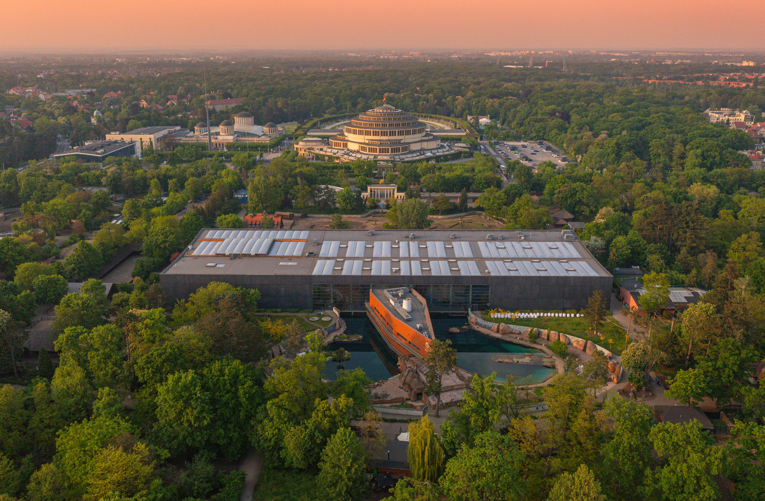 Is a Family Trip to Wrocław Zoo Worth It? Discover Poland’s Biggest and Most Famous Zoo